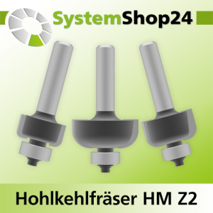 Hohlkehlfräser mit Achswinkel und Kugellager HM Z2 D16,7-38,1mm S8mm