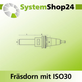 KLEIN Fräsdorn mit ISO30 - Aufnahme A39mm D30mm D1...
