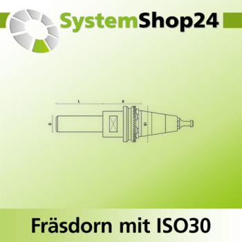 KLEIN Fräsdorn mit ISO30 - Aufnahme A39mm D30mm D1 49mm L70mm mit Endkappe FP - Z092.002.R