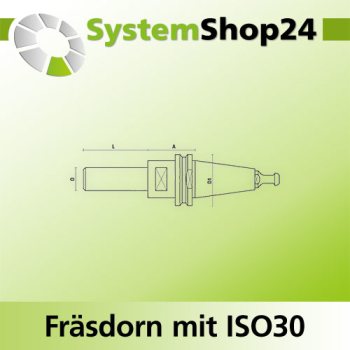 KLEIN Fräsdorn mit ISO30 - Aufnahme A35mm D30mm D1 50mm L70mm mit Endkappe FP - Z092.002.R