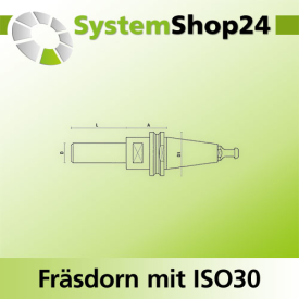 KLEIN Fräsdorn mit ISO30 - Aufnahme A35mm D30mm D1...