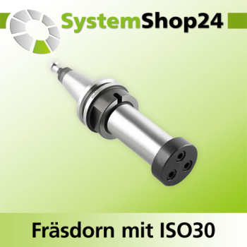 KLEIN Fräsdorn mit ISO40 - Aufnahme A35mm D30mm D1 63,5mm L100mm mit Endkappe FP - Z092.002.R