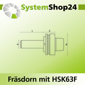 KLEIN Fräsdorn mit HSK63F - Aufnahme A33mm D40mm D1...