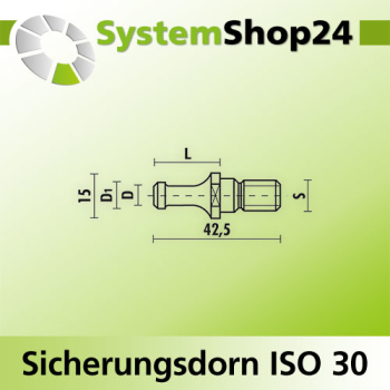 KLEIN Sicherungsdorn ISO 30 S M10mm D6,5mm D1 8,5mm L22mm