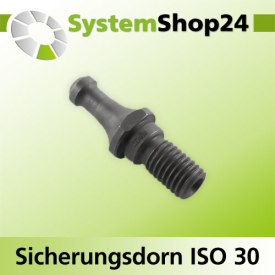 KLEIN Sicherungsdorn ISO 30 S M10mm D6,5mm D1 8,5mm L22mm