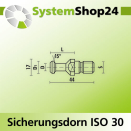 KLEIN Sicherungsdorn ISO 30 S M12mm D9mm D1 13mm D2 17mm...