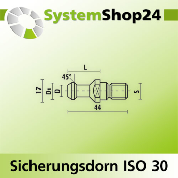 KLEIN Sicherungsdorn ISO 30 S M12mm D9mm D1 12,8mm L24mm