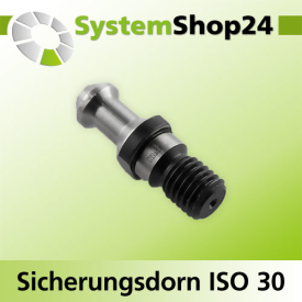 KLEIN Sicherungsdorn ISO 30 S M12mm D9mm D1 12,8mm L24mm