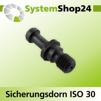 KLEIN Sicherungsdorn ISO 30 S M12mm D8mm D1 12mm L24mm
