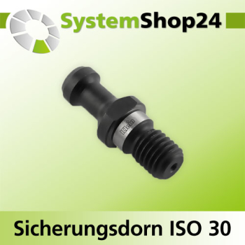 KLEIN Sicherungsdorn ISO 30 S M12mm D9mm D1 12,8mm R2,4mm L24mm