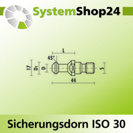 KLEIN Sicherungsdorn ISO 30 S M12mm D9mm D1 13mm L23mm