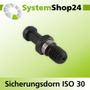 KLEIN Sicherungsdorn ISO 30 S M12mm D9mm D1 13mm L24mm