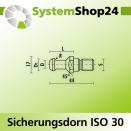KLEIN Sicherungsdorn ISO 30 S M12mm D8mm D1 12mm R3,2mm...