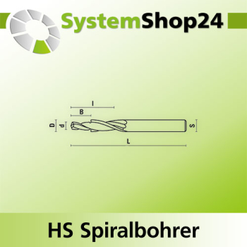 KLEIN HS Spiralbohrer mit positiver Doppelschneide Z2 S6mm d/D 3/6mm B/I 8/15mm L60mm RH