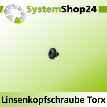 KLEIN Linsenkopfschraube Torx Zeichnung 1 S M5x10