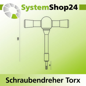 KLEIN Drehmoment-Schraubendreher für Torx-Antriebe 0,6Nm Torx T6
