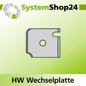 KLEIN HW-Wendeplatte Standard R10/10