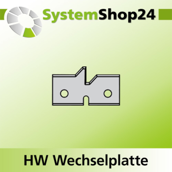 KLEIN HW-Wendeplatte Standard 45°
