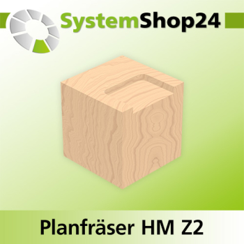 Systemshop24 Planfräser mit Umfang- und Bohrschneide HM Z2 D25mm AL11,5mm GL53,5mm S12mm RL