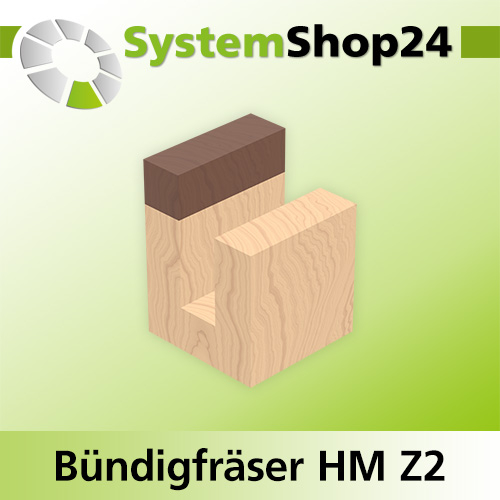 Systemshop24 Bündigfräser mit Kugellager am Schaft HM Z2 D16mm AL20mm GL63mm S8mm RL