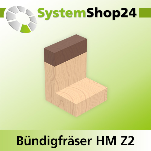 Systemshop24 Bündigfräser mit Kugellager am Schaft HM Z2 D16mm AL20mm GL63mm S8mm RL