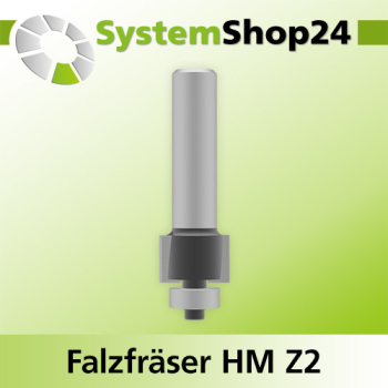 Systemshop24 Falzfräser mit Kugellager HM Z2 D19mm AL12,7mm FAT3,2mm GL67mm S12m 