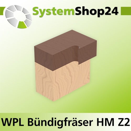 Systemshop24 Wendeplatten-Bündigfräser mit Kugellager Z2 D19mm (3/4") AL20mm GL71mm S8mm RL