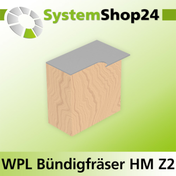 Systemshop24 Wendeplatten-Bündigfräser mit Kugellager Z2 D19mm (3/4") AL30mm GL81mm S8mm RL