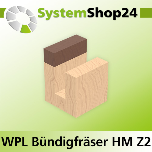 Systemshop24 Wendeplatten-Bündigfräser mit Kugellager am Schaft Z2 D19mm (3/4") AL49,5mm GL91mm S8mm RL