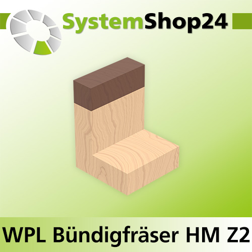 Systemshop24 Wendeplatten-Bündigfräser mit Kugellager am Schaft Z2 D19mm (3/4") AL49,5mm GL91mm S8mm RL