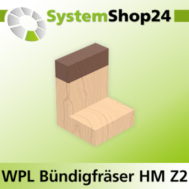 Systemshop24 Wendeplatten-Bündigfräser mit Kugellager am Schaft Z2 D19mm (3/4") AL49,5mm GL91mm S8mm RL