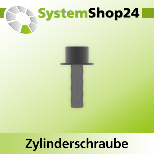 Systemshop24 Zylinderschraube mit Innensechskant für Kugellager M2,5x7mm SW2mm
