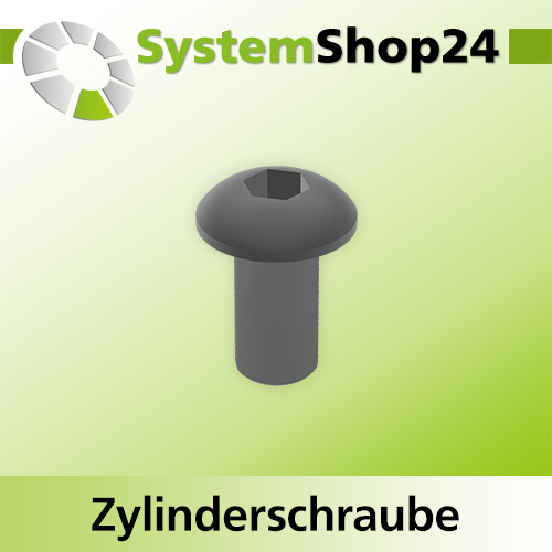 Systemshop24 Zylinderschraube mit Innensechskant für Kugellager M4x8mm SW3mm