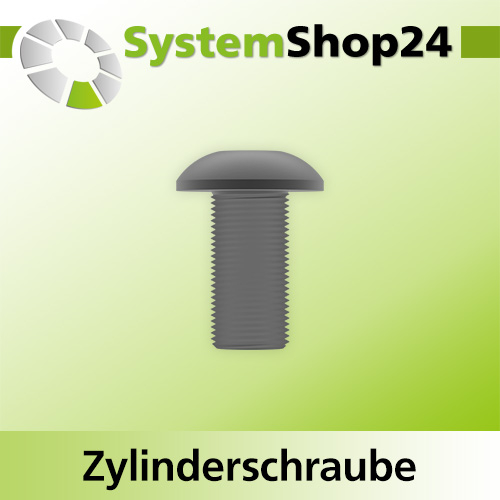Systemshop24 Zylinderschraube mit Innensechskant für Kugellager M4x8mm SW3mm