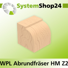 Systemshop24 Wendeplatten-Abrundfräser mit Kugellager Z2 D25,4mm (1") AL19,5mm R2mm GL69mm S8mm RL