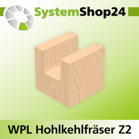Systemshop24 Wendeplatten-Hohlkehlfräser Z2 D25,4mm (1") AL19,5mm R2mm GL58mm S8mm RL