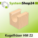 Systemshop24 Kugelfräser mit Achswinkel HM Z2...