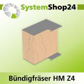 Systemshop24 Bündigfräser positiv und negativ mit Achswinkel und zwei Kugellagern HM Z4 D35mm (1 3/8") AL50mm GL118mm S12mm RL