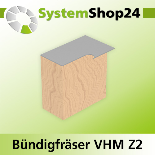 Systemshop24 VHM Bündigfräser spiralgenutet mit doppeltem Kugellager Z2 D9,5mm (3/8") AL25mm GL76mm S8mm RL RD/LD