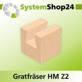 Systemshop24 Gratfräser ohne Vorschneider mit Achswinkel HM Z2 D12,7mm (1/2") AL12,7mm (1/2") 14° GL47,5mm S8mm SL30,5mm RL