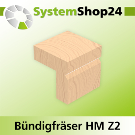Systemshop24 Bündigfräser für Schattenfugen mit Kugellager HM Z2 D16mm D1 12,7mm (1/2") AL25,4mm (1") GL70mm S8mm RL