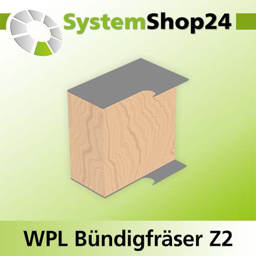 Systemshop24 Wendeplatten-Bündigfräser mit zwei Kugellagern Z2 D16mm AL50mm GL99mm S8mm RL