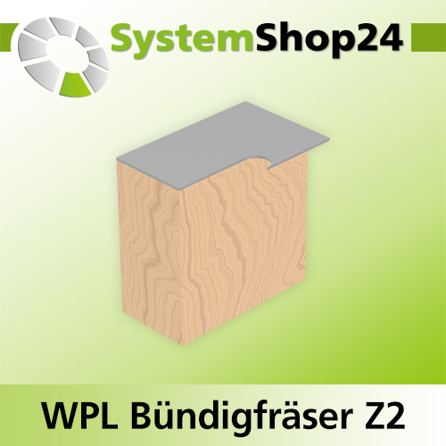 Systemshop24 Wendeplatten-Bündigfräser mit zwei Kugellagern Z2 D19mm (3/4") AL50mm GL103mm S8mm RL
