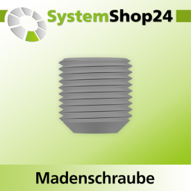 Systemshop24 Madenschraube mit Innensechskant M2,5x2,5mm...