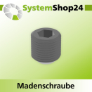 Systemshop24 Madenschraube mit Innensechskant M2,5x2,5mm...
