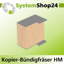 Systemshop24 Kopier-Bündigfräser mit Führung HM Z1+1 D6,4mm (1/4") AL19mm (3/4") GL67mm S8mm RL
