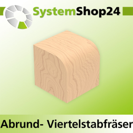 Systemshop24 Abrundfräser und Viertelstabfräser Kombination mit Achswinkel und Kugellager HM Z2 D24,7mm AL13,5mm R6mm GL57mm S6mm RL