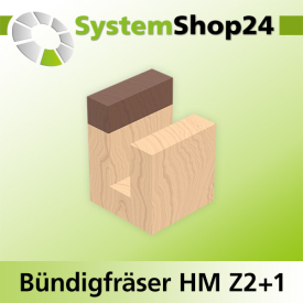Systemshop24 Bündigfräser mit Kugellager am Schaft HM Z2+1 D22mm AL25mm GL70mm S8mm RL