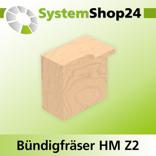 Systemshop24 Bündigfräser mit Achswinkel und zwei Kugellagern HM Z2 D18mm AL25mm GL82mm S8mm RL