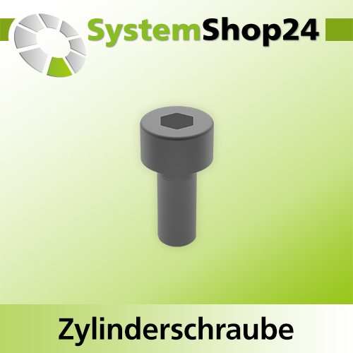Systemshop24 Zylinderschraube mit Innensechskant für Kugellager M2,5x6mm SW2,5mm